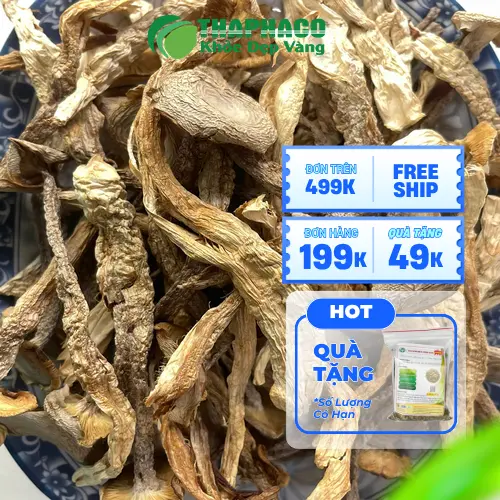 Nấm lộc nhung khô được bảo quản tiện lợi tại THAPHACO