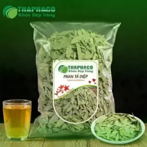 Địa Chỉ Bán Phan Tả Diệp Khô Uy Tín Tại TP.HCM - THAPHACO