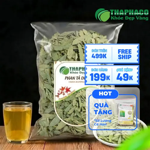 Phan Tả Diệp khô tại THAPHACO