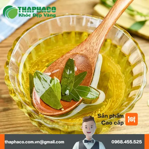 Phan Tả Diệp khô được sử dụng trong y học cổ truyền