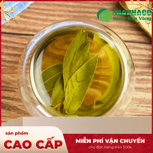 Phan Tả Diệp và các thảo dược khác - Tương tác khi dùng chung