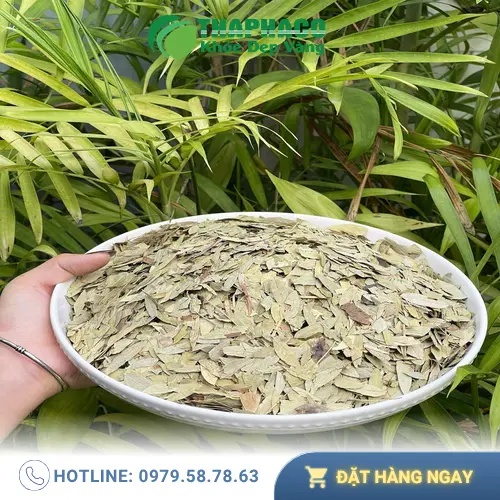 Pha trà Phan Tả Diệp đúng cách