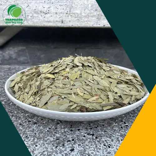 Cần thận trọng khi sử dụng Phan Tả Diệp