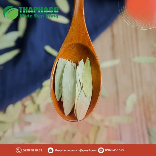 Hướng dẫn cách dùng Phan Tả Diệp