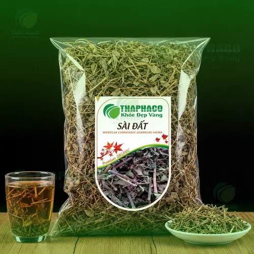 Cây Sài Đất tươi và khô được dùng trong y học cổ truyền