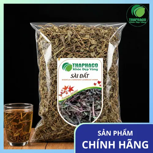 Cây Sài Đất là gì? Đặc điểm nhận biết cơ bản