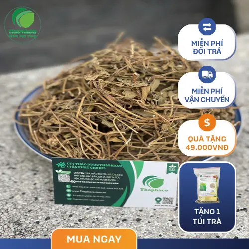 Phụ nữ mang thai và trẻ nhỏ không nên dùng sài đất