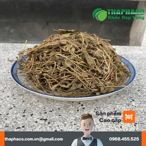 Cách nấu nước Sài Đất tại nhà