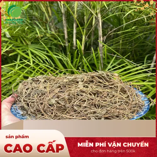 Sài Đất sấy khô được đóng gói cẩn thận tại THAPHACO