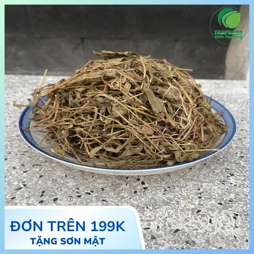 Người đang dùng thuốc tây cần thận trọng khi dùng sài đất