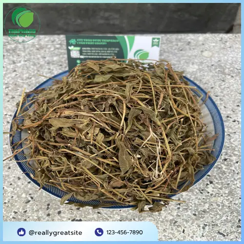 Sài Đất khô chất lượng tại THAPHACO