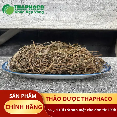 Cách dùng sài đất an toàn và hiệu quả