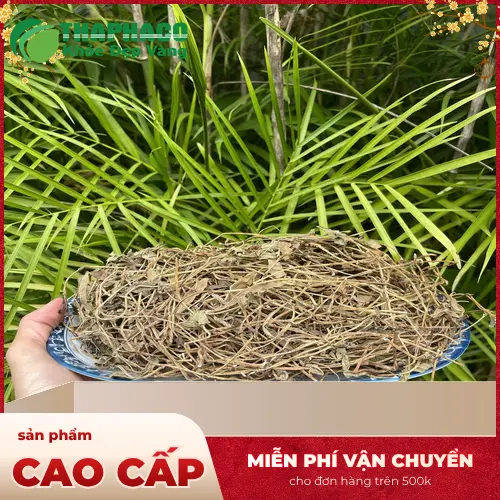 Lưu ý khi sử dụng Sài Đất
