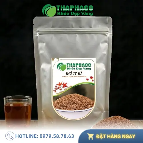 Hình ảnh tổng quan về Thỏ Ty Tử trong YHCT