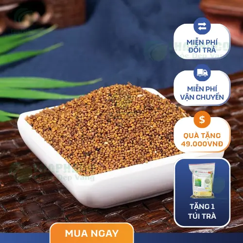 Đặc điểm nhận biết hạt Thỏ Ty Tử khô