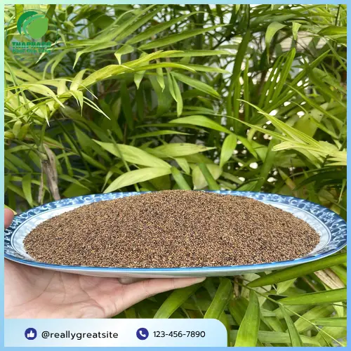 Tác dụng phụ khác của Thỏ Ty Tử