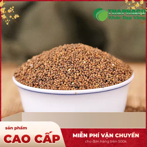 Lưu ý khi dùng Thỏ Ty Tử để đảm bảo an toàn