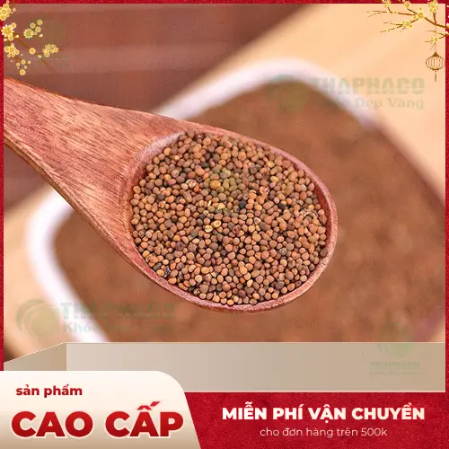 Sử dụng Thỏ Ty Tử khô đúng cách để hỗ trợ sức khỏe