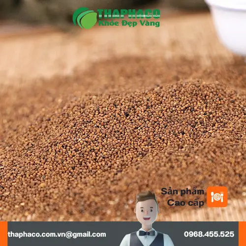 Lời khuyên từ chuyên gia khi dùng Thỏ Ty Tử