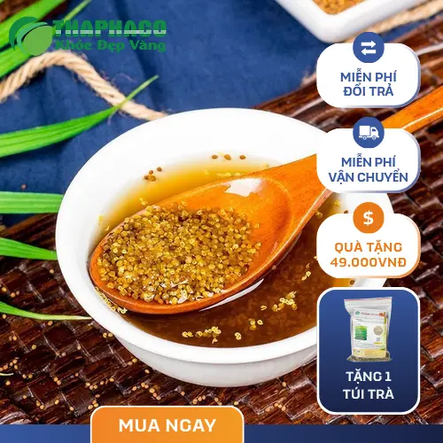 Thỏ Ty Tử chất lượng tại THAPHACO