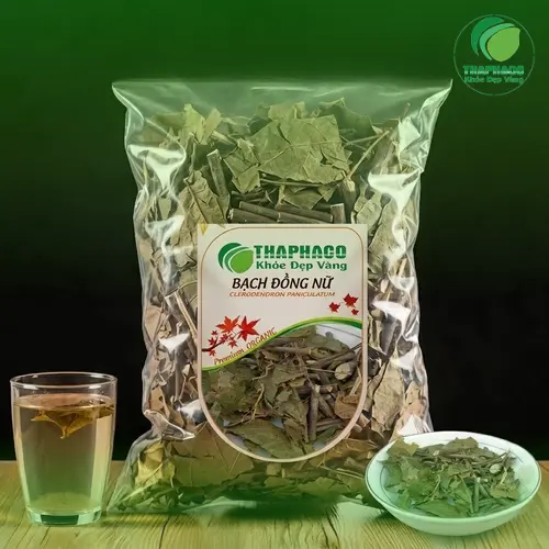 Hình ảnh cây bạch đồng nữ trong tự nhiên