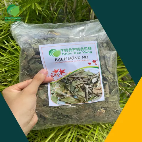 Cách sắc nước uống Bạch Đồng Nữ khô tại nhà
