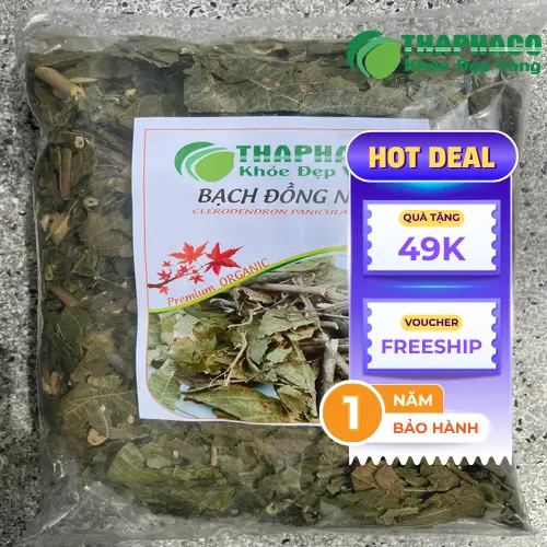 Hướng dẫn sắc nước bạch đồng nữ đúng cách