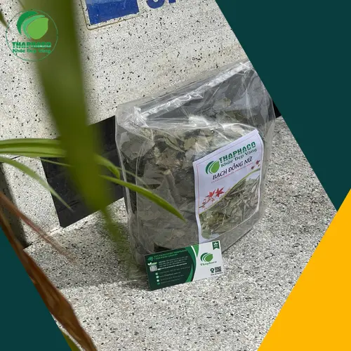 Nơi mua bạch đồng nữ uy tín và chất lượng