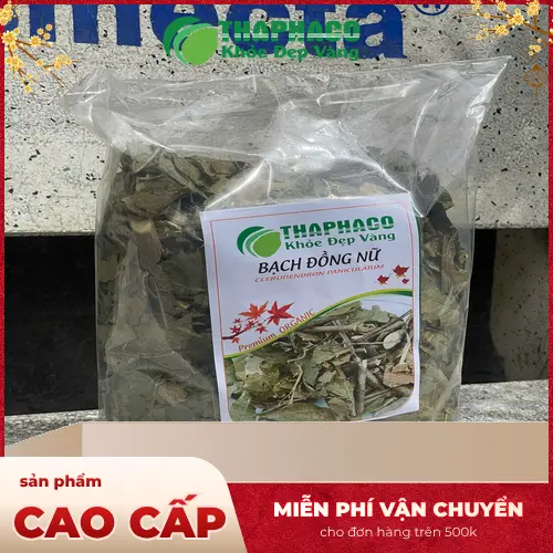 Lưu ý khi dùng Bạch Đồng Nữ khô để đảm bảo an toàn