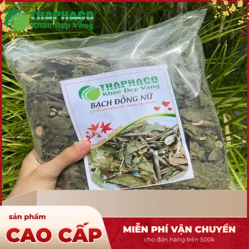 Cách pha trà bạch đồng nữ khô