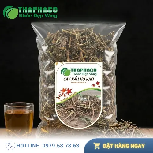 Cây Xấu Hổ Khô THAPHACO