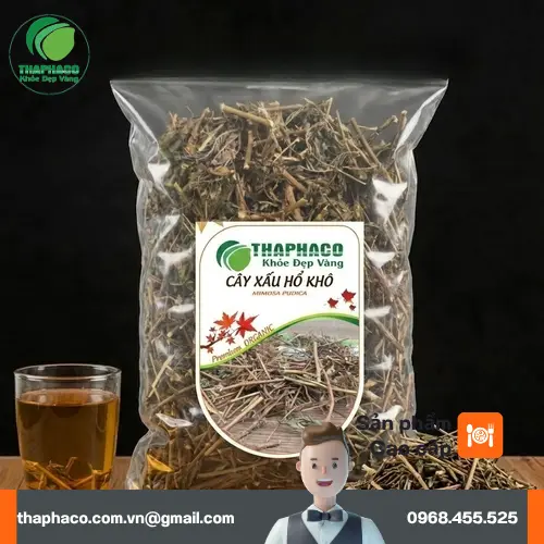 Cây xấu hổ và hoa tím đặc trưng