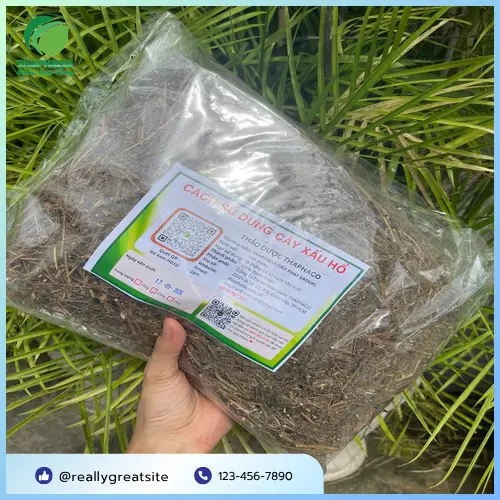 Thân cây xấu hổ khô được đóng gói cẩn thận
