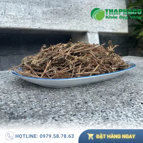 Lá và hoa cây xấu hổ