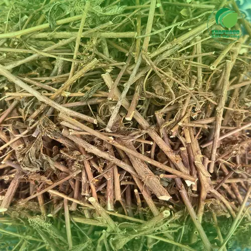 Quy trình sơ chế cây xấu hổ khô