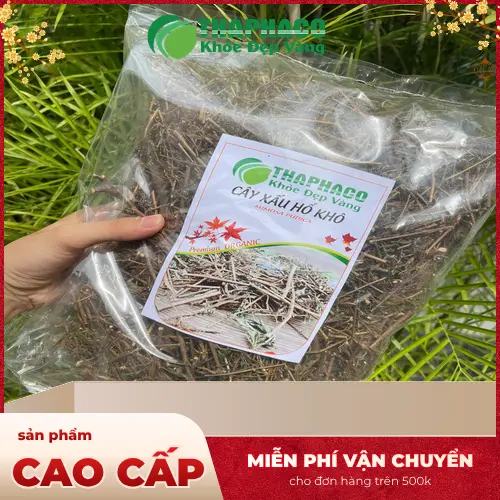 Sản phẩm cây xấu hổ khô THAPHACO sẵn sàng giao đến tay khách hàng