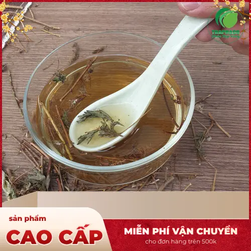 Trà thảo mộc từ cây xấu hổ
