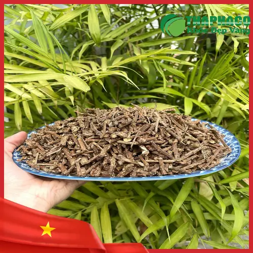 Thân cây Dây Thần Thông với đặc điểm sần sùi