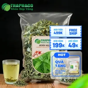Mua Lá Hoàn Ngọc Khô Uy Tín Ở Đâu? THAPHACO Chất Lượng, Giá Tốt