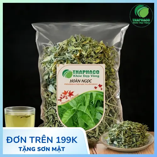 Hình ảnh cây Hoàn Ngọc tổng thể