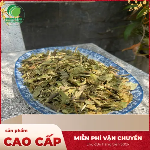 Tiêu chí đánh giá chất lượng Lá Hoàn Ngọc khô