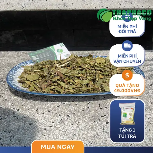 Lá Hoàn Ngọc tươi và khô