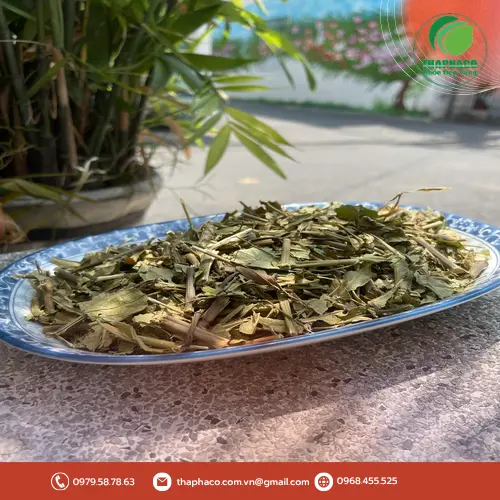 Sản phẩm Lá Hoàn Ngọc khô đóng gói tiện lợi của THAPHACO