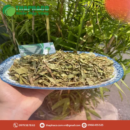 Chọn mua Hoàn Ngọc khô chất lượng tại THAPHACO