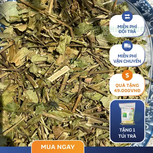 Lá Hoàn Ngọc khô trong chế độ sống khỏe