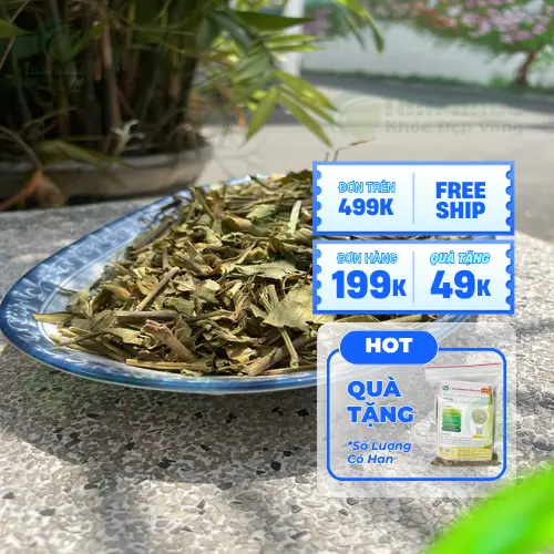 Cách sử dụng và bảo quản Hoàn Ngọc khô hiệu quả