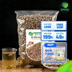 Thương Nhĩ Tử Khô (Ké Đầu Ngựa) Chất Lượng, Giá Tốt | THAPHACO