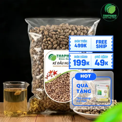 Quả Thương Nhĩ Tử (Ké Đầu Ngựa) trước khi được chế biến khô