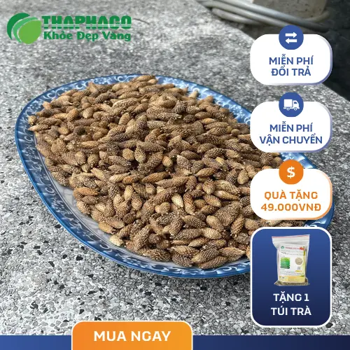 Uống nước ké đầu ngựa đúng cách để có hiệu quả tốt nhất