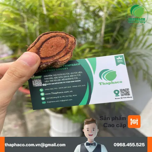 Kê Huyết Đằng thường được dùng để hỗ trợ hoạt huyết bổ huyết